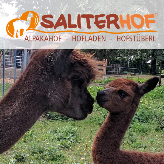 Alpaka Wanderung  Saliterhof - Das Team vom Saliterhof legt noch eine zweite Karte drauf!
